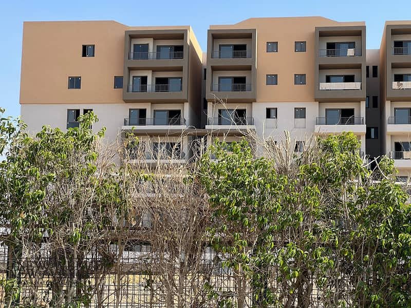 4 WhatsApp Image 2025-11-10 at 20.03. 40_13e1b909. jpg