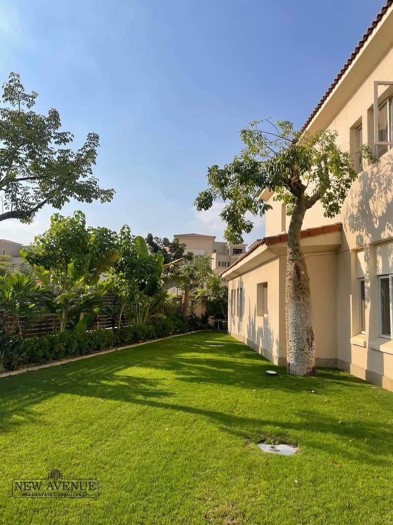 2 WhatsApp Image 2025-11-11 at 00.43. 48_cadb33fb. jpg