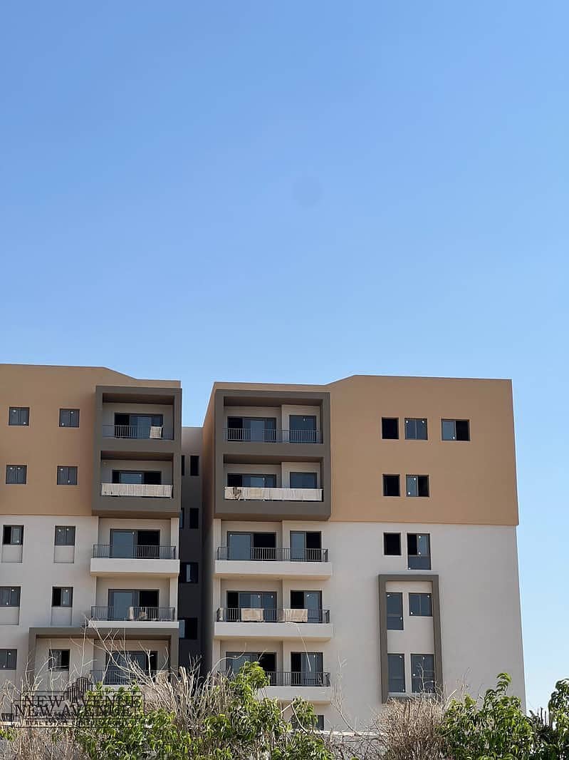 6 WhatsApp Image 2025-11-10 at 20.03. 40_93310be5. jpg