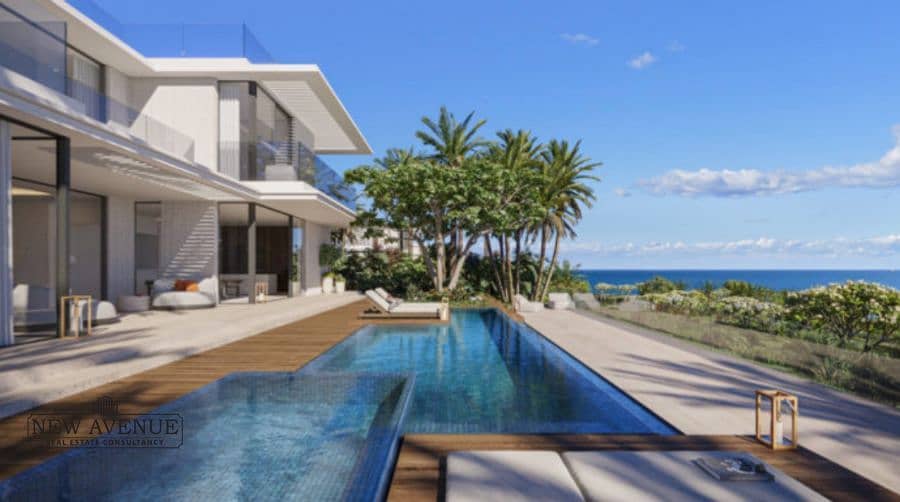 5 WhatsApp Image 2025-11-10 at 19.56. 13_1ebbc648. jpg