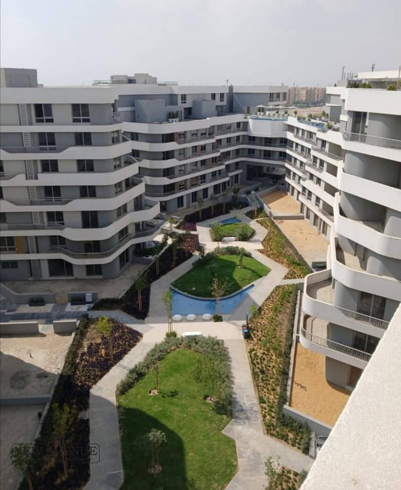 3 WhatsApp Image 2025-11-16 at 16.46. 50_9060cf34. jpg