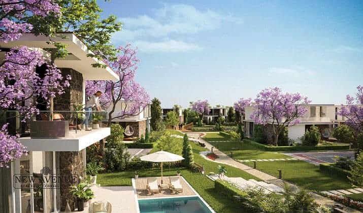 6 WhatsApp Image 2025-11-10 at 20.01. 10_a346184b. jpg