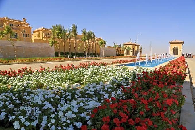 6 78cfc1f7-a87b-4423-b8b9-788050dc9957. jpg