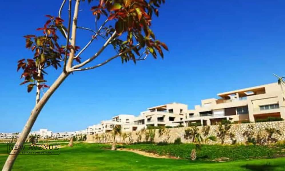 11 WhatsApp Image 2025-11-18 at 16.16. 54_e8a2dbe2. jpg