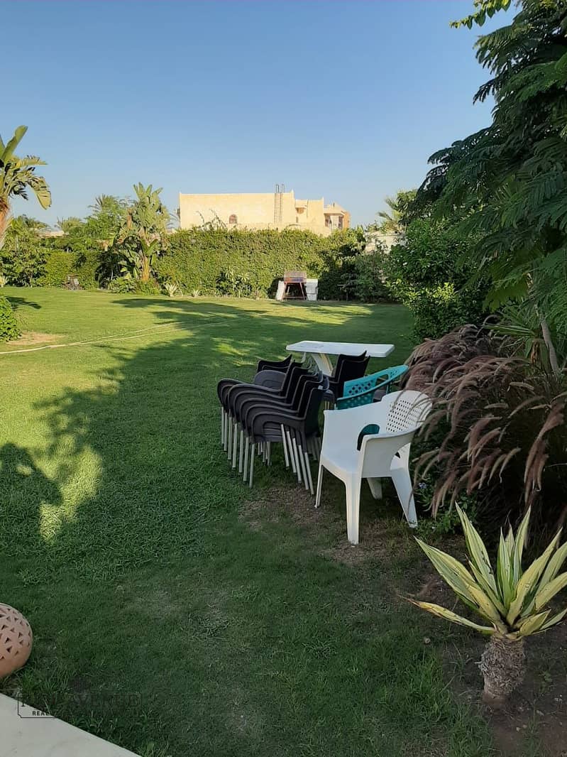 4 WhatsApp Image 2025-11-27 at 21.51. 13_64834fd2. jpg