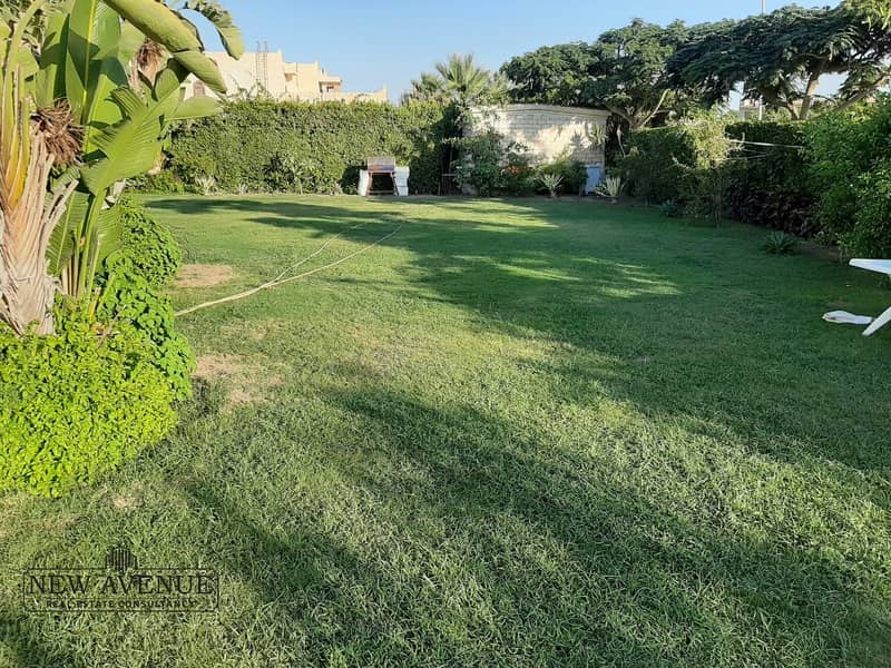 6 WhatsApp Image 2025-11-27 at 21.51. 14_f83a4179. jpg