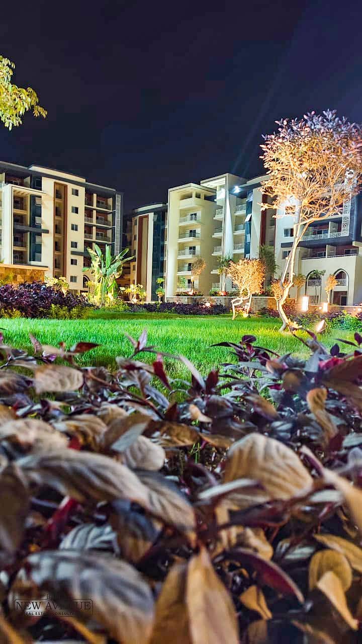 9 f37b550f-b767-4e36-95c4-2541ea2f212f. jpg