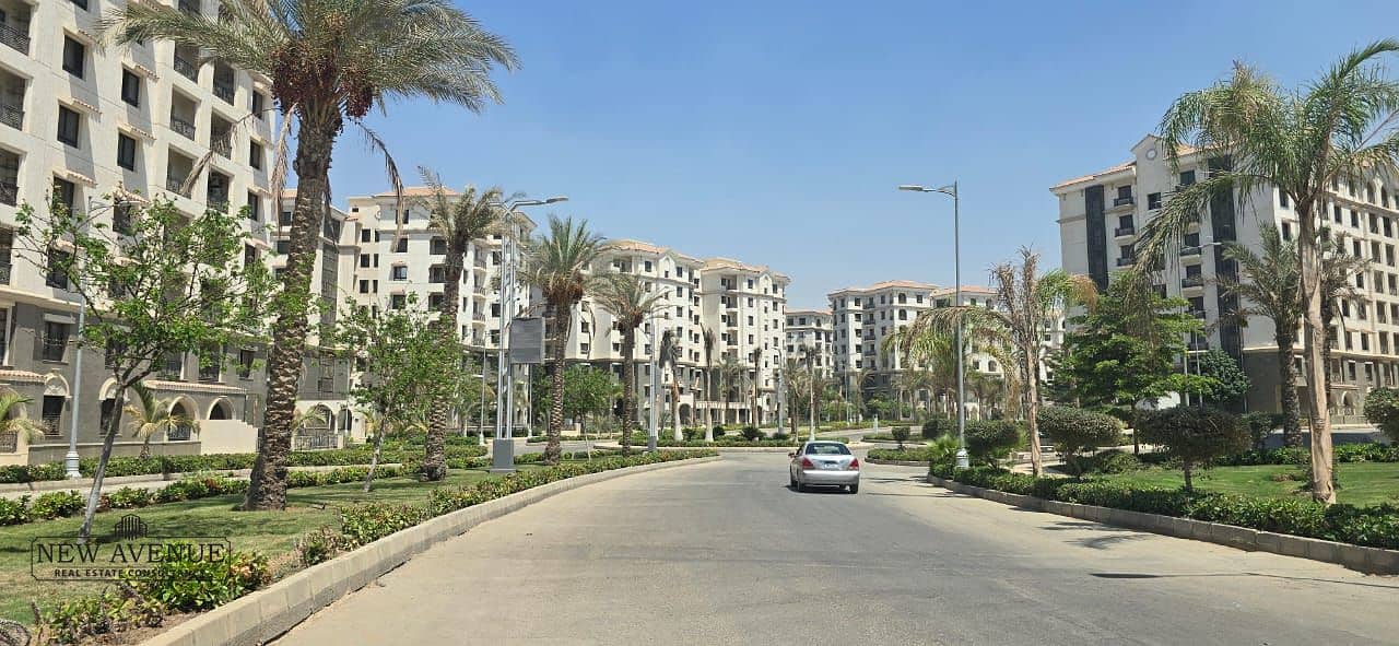 6 a5471ed0-673d-4c56-a362-a01fc493b3d7. jpeg