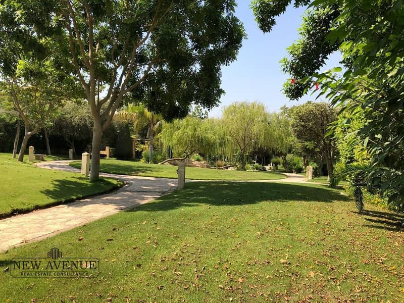 7 WhatsApp Image 2025-11-10 at 16.46. 36_b29229bf. jpg