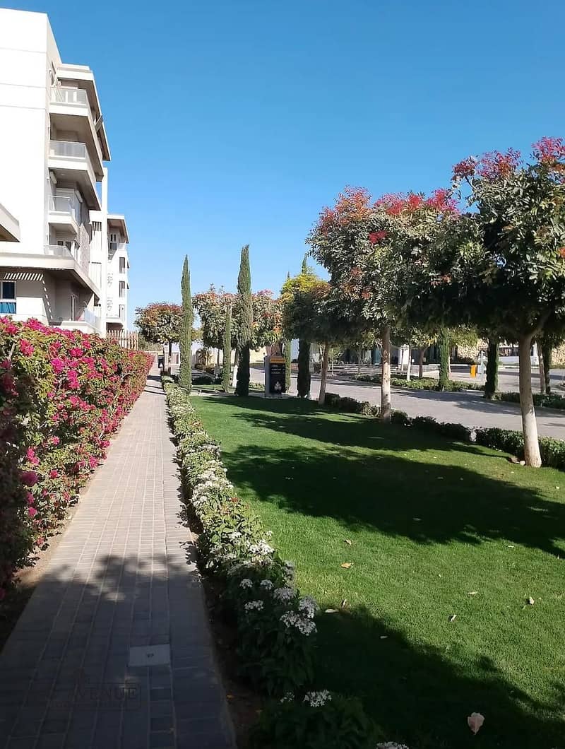 3 WhatsApp Image 2025-11-11 at 12.35. 25_f2720fa5. jpg