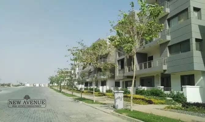 4 WhatsApp Image 2025-11-11 at 14.46. 32_030bf6e7. jpg