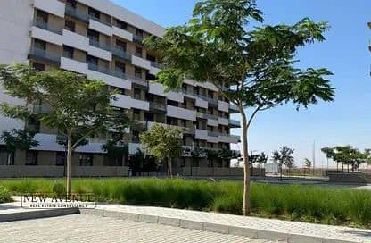 6 WhatsApp Image 2025-11-11 at 16.40. 38_20a938a8. jpg