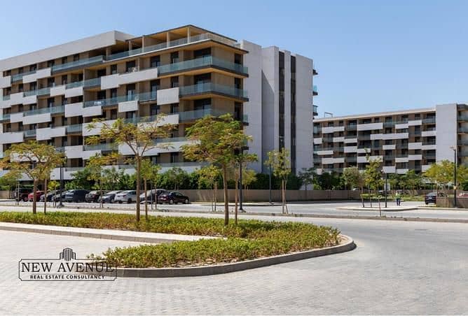 7 WhatsApp Image 2025-11-11 at 16.40. 40_c745a838. jpg