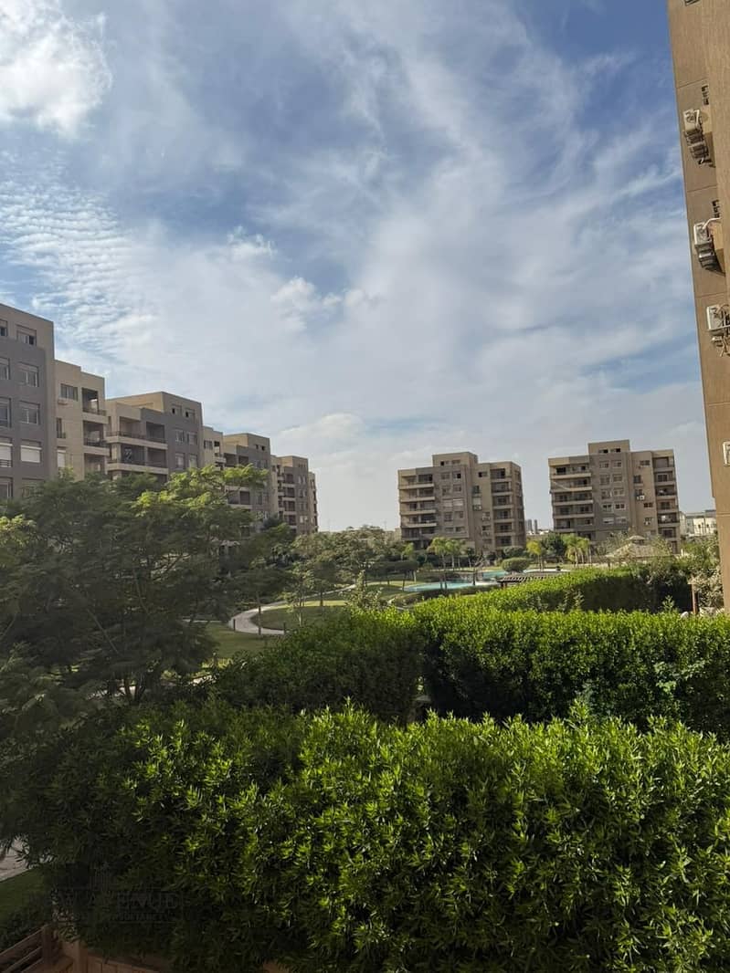 7 WhatsApp Image 2025-11-12 at 17.09. 39_20dbdb16. jpg