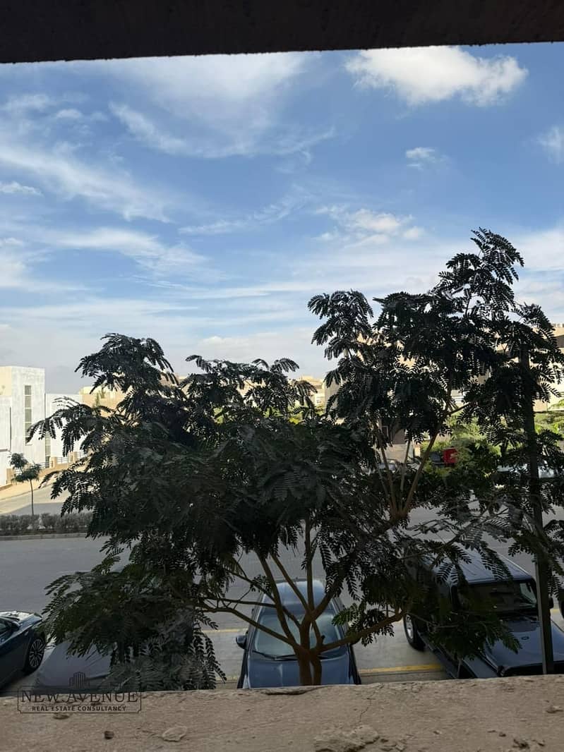 9 WhatsApp Image 2025-11-12 at 17.09. 38_cf90a632. jpg