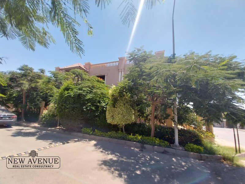 4 WhatsApp Image 2025-11-11 at 15.38. 06_3e187650. jpg