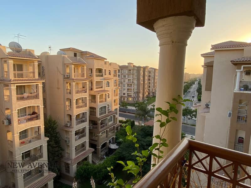 3 WhatsApp Image 2025-11-16 at 13.59. 23_17e12470. jpg