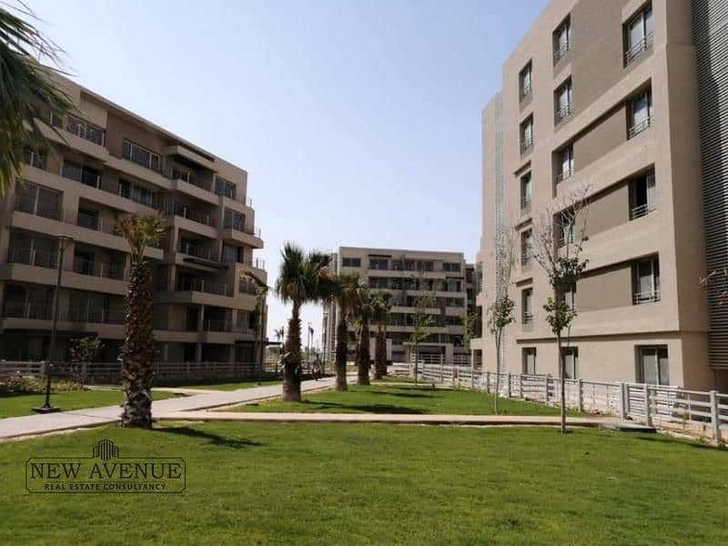 4 WhatsApp Image 2025-10-07 at 6.28. 56 PM. jpg