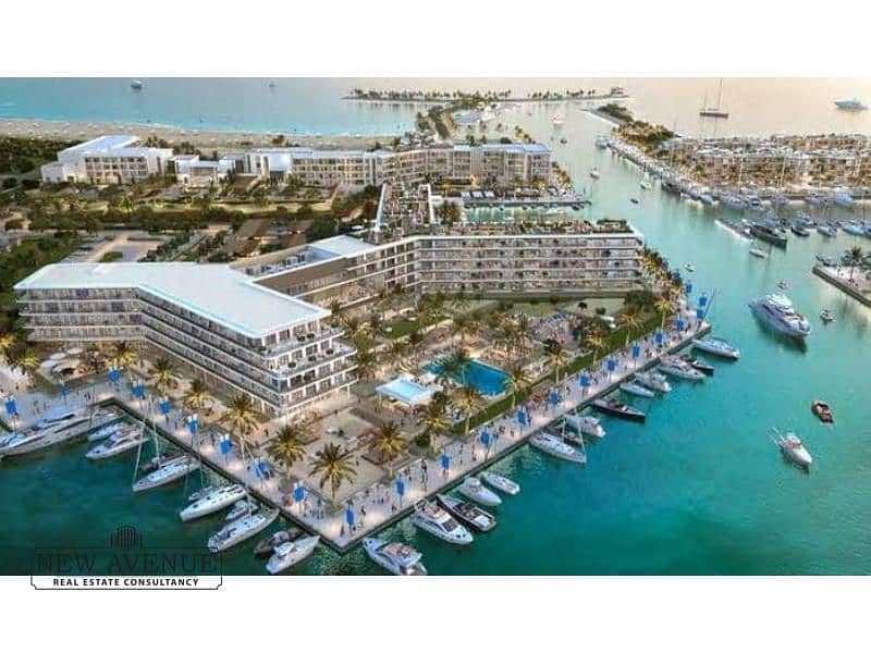 7 WhatsApp Image 2024-10-16 at 5.07. 06 PM. jpg