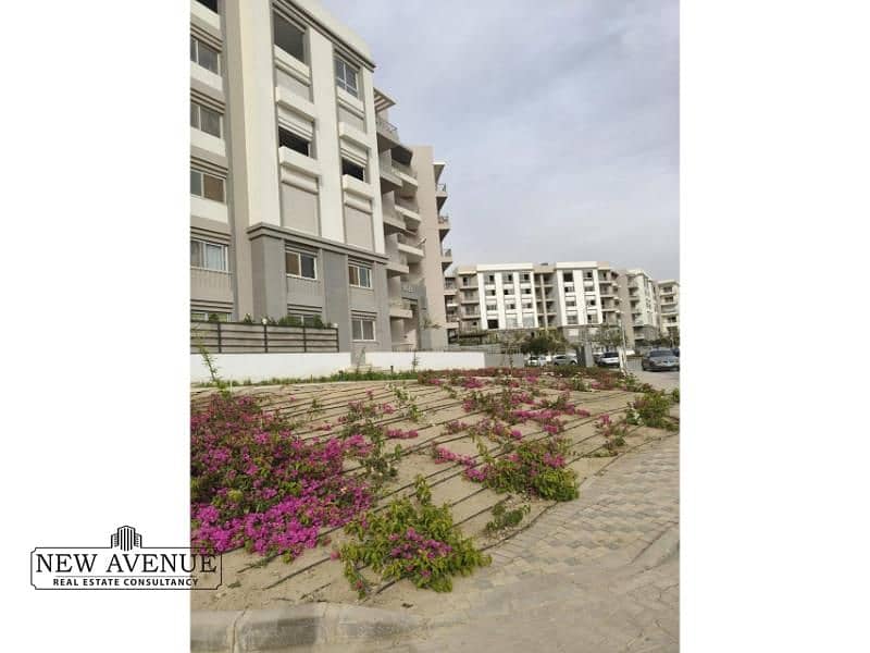 9 410a35b0-8683-479b-a2ed-7f4aad6c238f. jpg