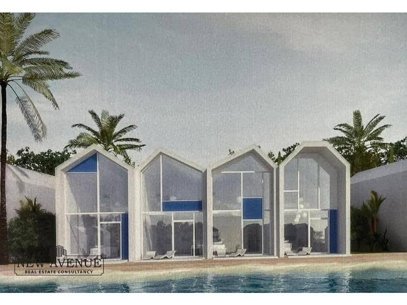 2 WhatsApp Image 2024-11-03 at 1.17. 38 PM. jpg