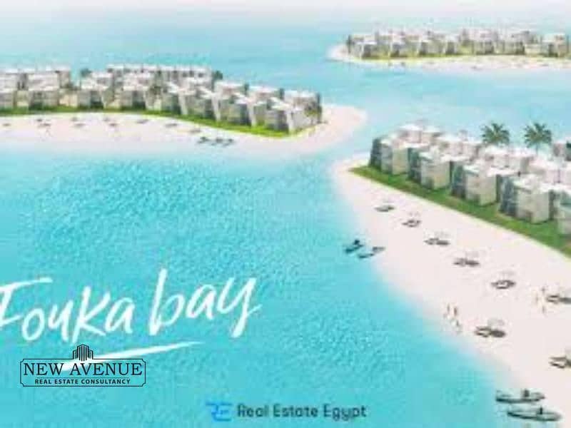 7 WhatsApp Image 2024-11-03 at 1.17. 42 PM (1). jpg