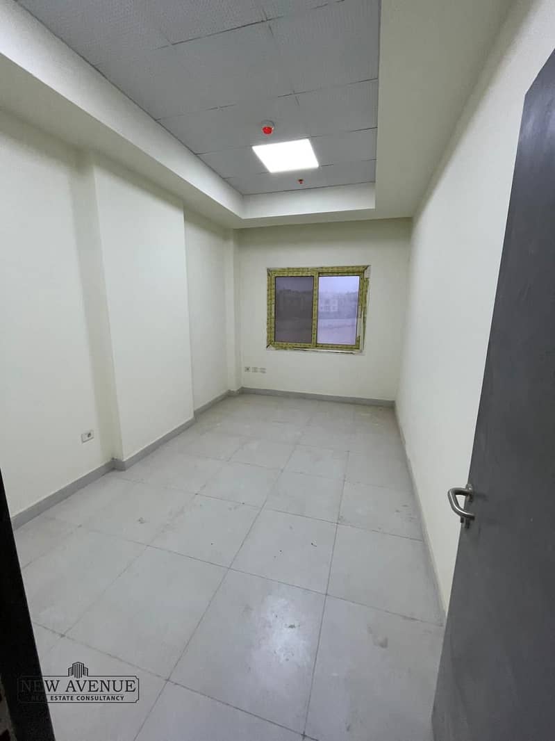 3 WhatsApp Image 2025-11-02 at 2.59. 44 PM (3). jpeg