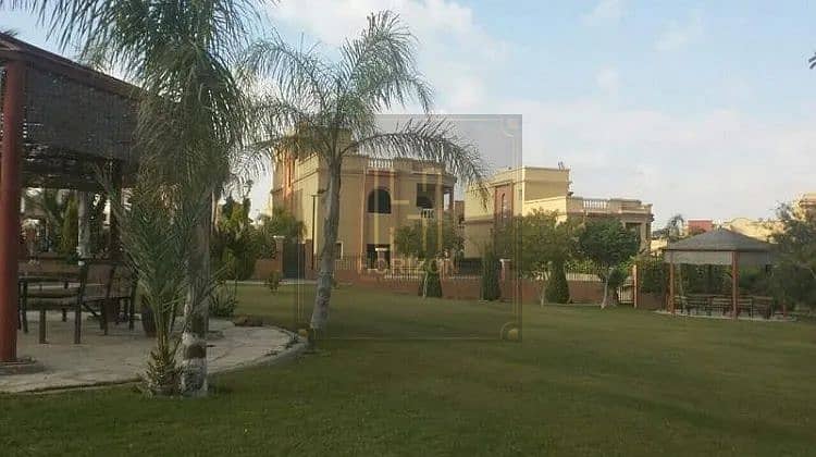 6 0ca85430684801cf1c0de068abc45fdd. jpg