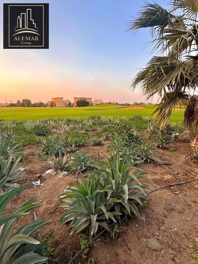 9 0bda9be7-e0c2-4503-be1e-cbd726f3dd4f. jpg