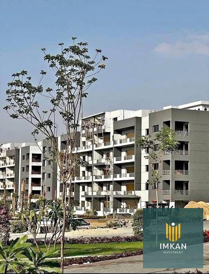 11 484324559_2418870925172642_8141437213589625749_n. jpg