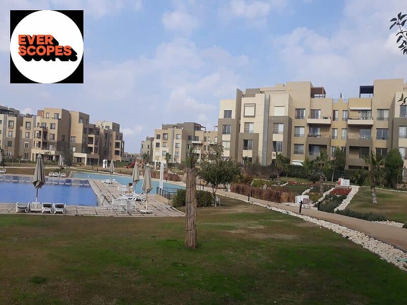 9 WhatsApp Image 2025-11-02 at 17.34. 13_700e891c. jpg