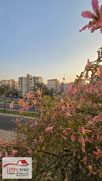 1 Bedroom Flat for Sale in Madinaty, Cairo - IMG-20251122-WA0279. jpg