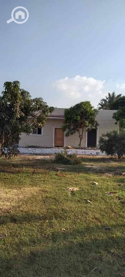 Residential Land for Sale in Mansuriyya, Giza - d1950cf6-4408-42af-9608-bd6cc8dadb13. jpg