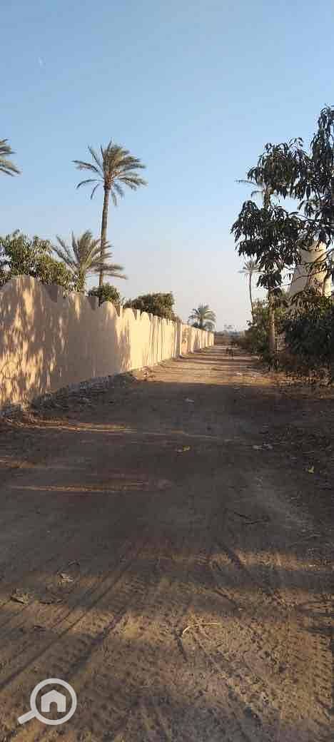 2 32c60d5d-6564-407c-9e25-4dc0d82ad37f. jpg