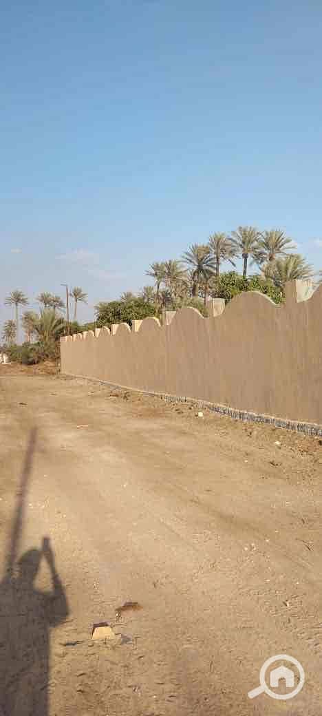 3 83b3f1c1-7650-4794-95b2-f0d7d7a5bb0a. jpg