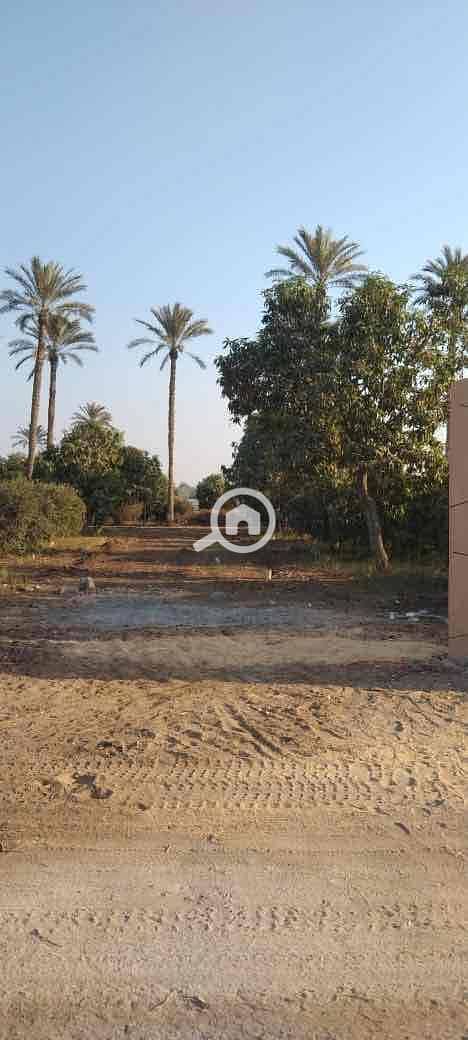 4 f2715ce3-303c-42de-a490-9f4e3544be02. jpg