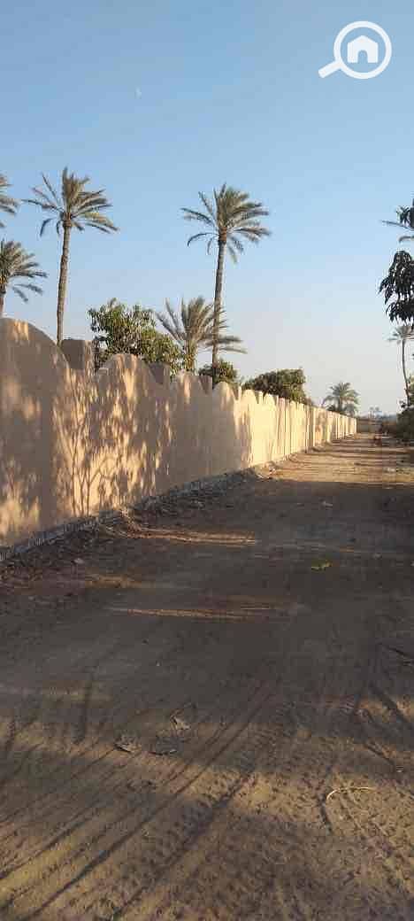 5 510a17cb-99f5-4370-b18f-57302366448d. jpg