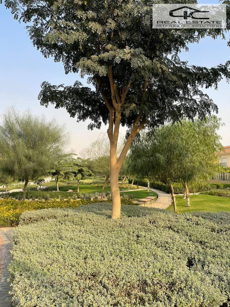 7 WhatsApp Image 2025-12-08 at 3.48. 52 AM (1). jpeg