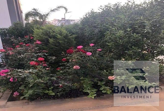 10 e0f1017a-45ee-4b72-9af0-fbf48c03c684. jpg