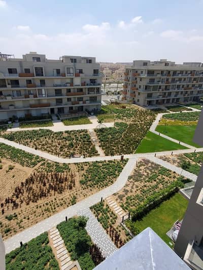 بنتهاوس 3 غرف نوم للايجار في القاهرة الجديدة، القاهرة - 1. jpeg