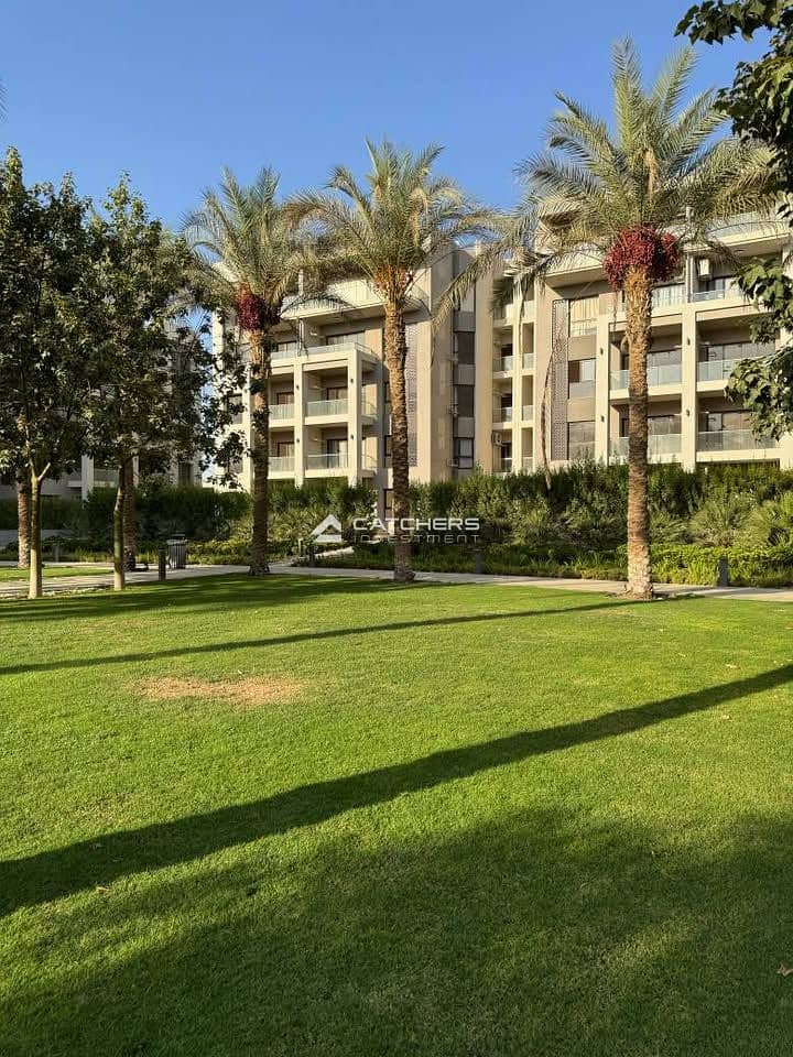 4 572397283_25198524036454926_4493264246264238484_n. jpg