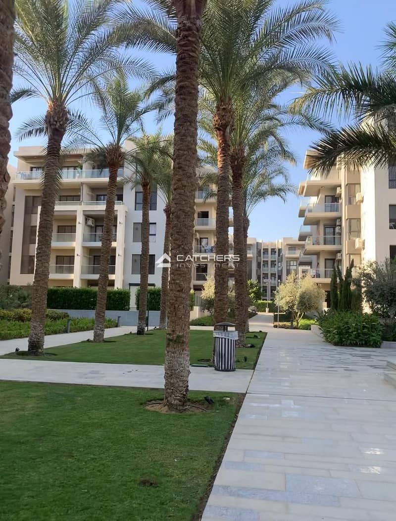 10 594657318_122109144735111916_423925739767664027_n. jpg