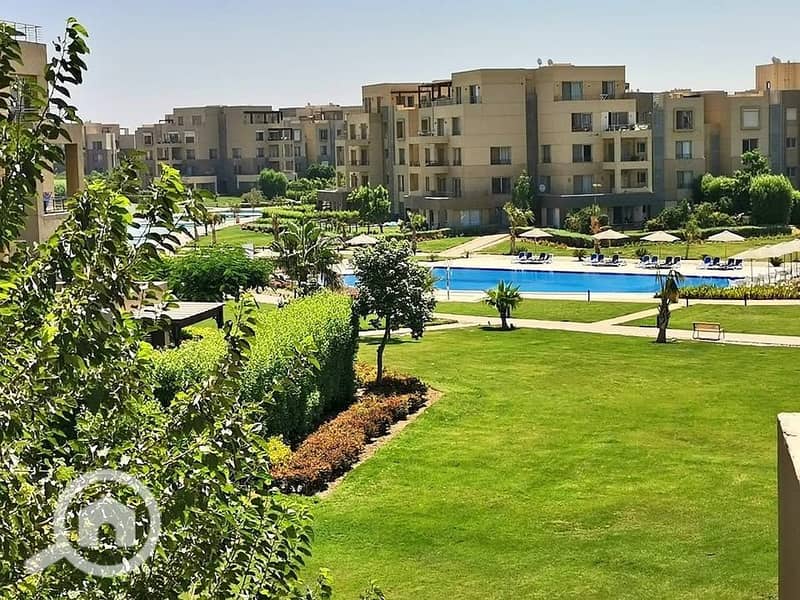 12 565676475_825537996719831_803339478990998950_n. jpg