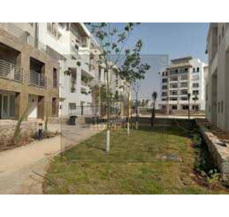 11 662638284d493929583102. jpg