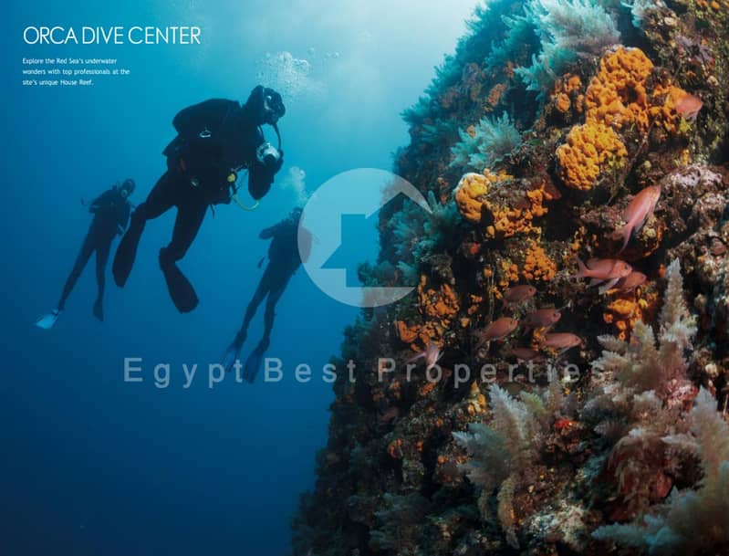 5 Screenshot 2023-03-31 164552. png