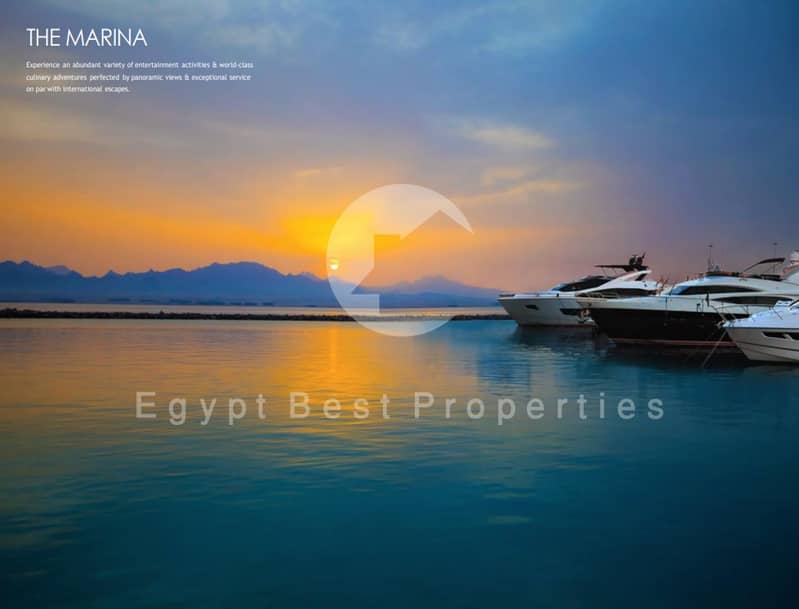 7 Screenshot 2023-03-31 164743. png