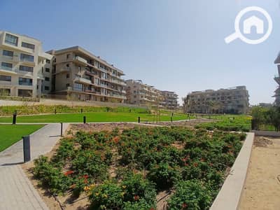 2 Bedroom Apartment for Rent in New Cairo, Cairo - IMG-20251126-WA0007. jpg