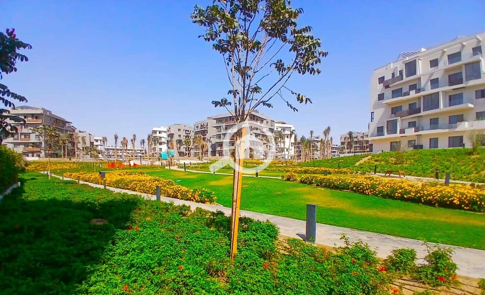 5 IMG-20251126-WA0006. jpg