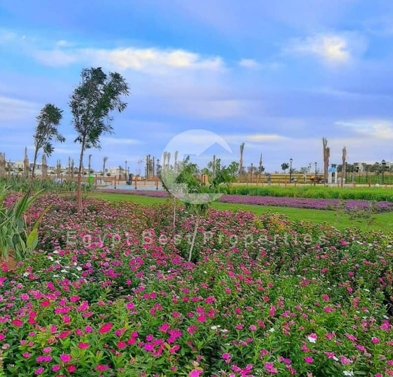 4 Screenshot 2025-12-08 125846. png