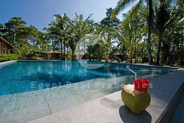 539335de24c2b015cae05f0d8d22d33abfda7b91330915. jpg 539335de24c2b015cae05f0d8d22d33abfda7b91330915. jpg